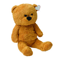 bruin
