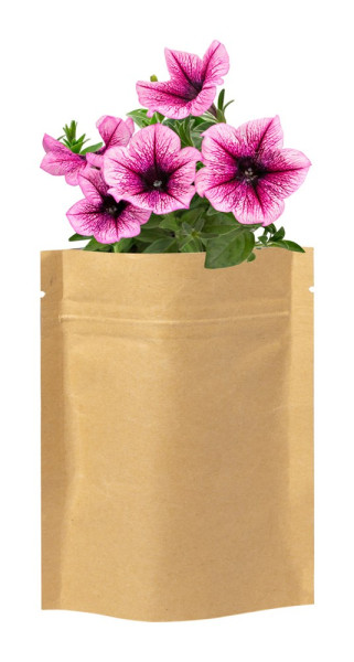 Sober - bloemen planten kit